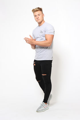 Signature Logo T-Shirt (Grey)